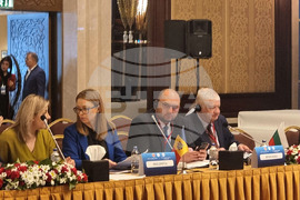 Турция - ПАЧИС - среща - Петър Кънев