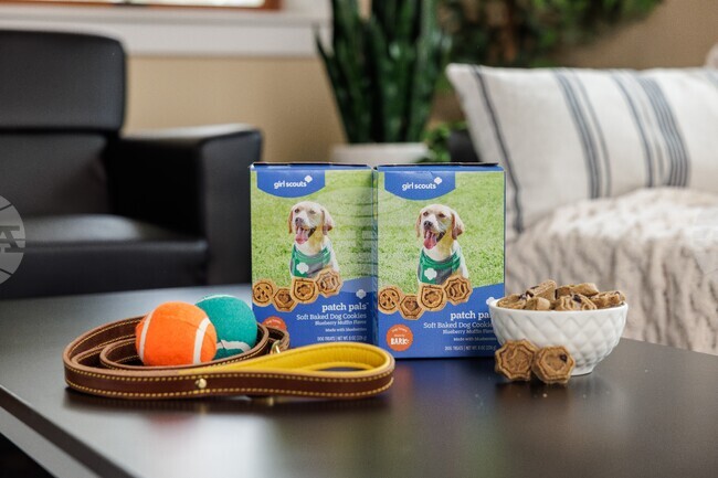 Girl Scouts Dog Cookies
