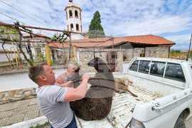 Село Паталеница - Гергьовден - освещаване на агне