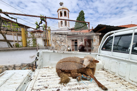 Село Паталеница - Гергьовден - освещаване на агне
