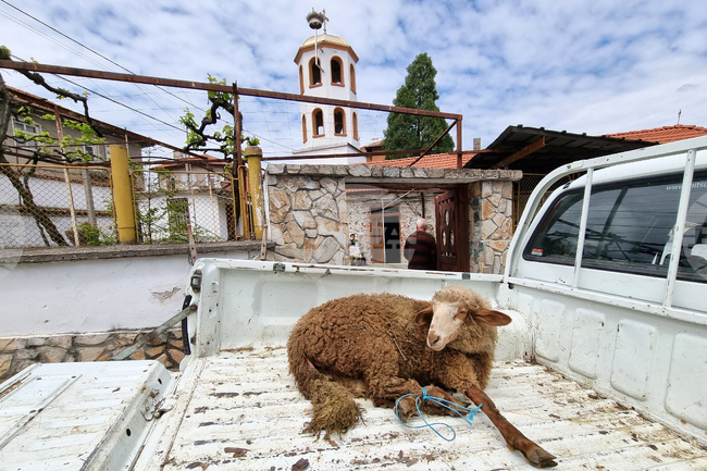 Село Паталеница - Гергьовден - освещаване на агне