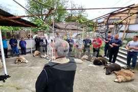 Село Паталеница - Гергьовден - освещаване на агне
