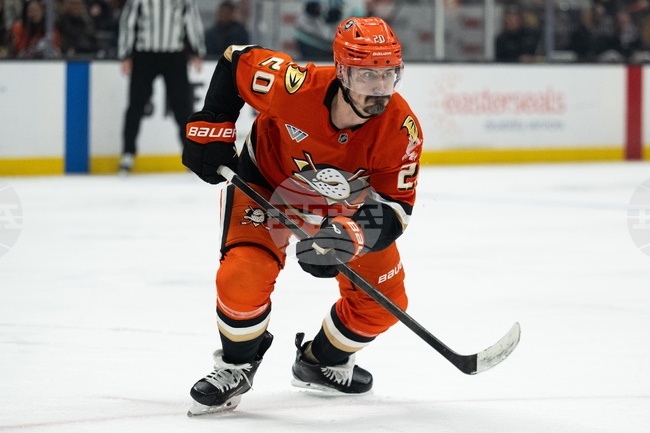 Ducks Kreider Hockey