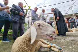 Село Паталеница - Гергьовден - освещаване на агне