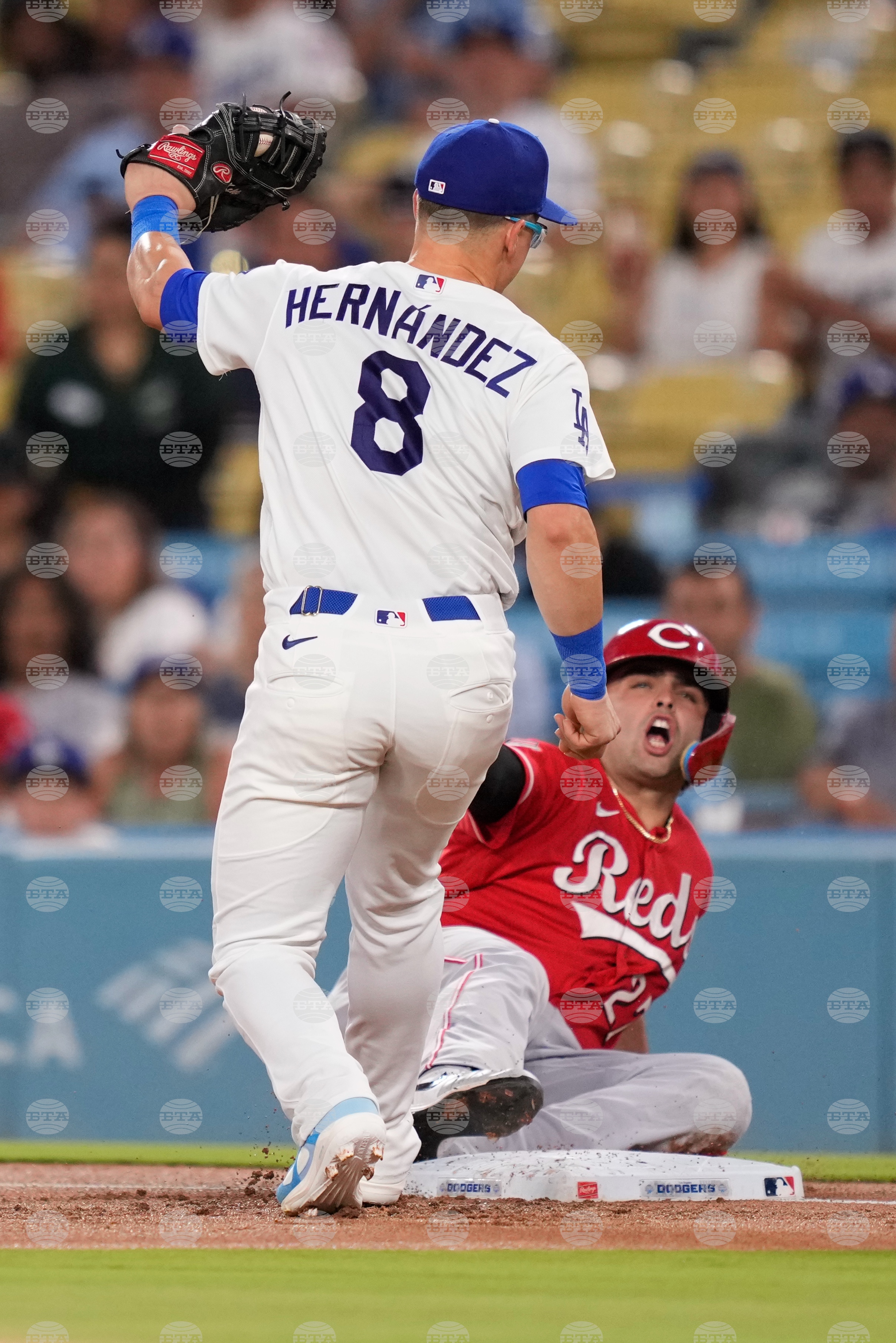 Reds Dodgers Baseball