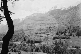 Местността Предела