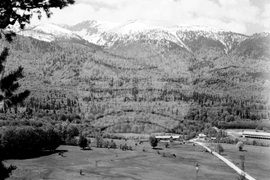 Местността Предела