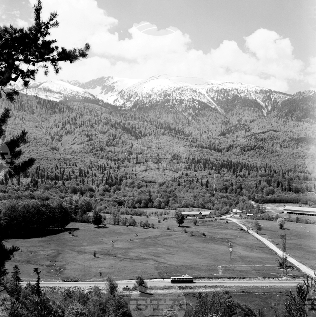 Местността Предела