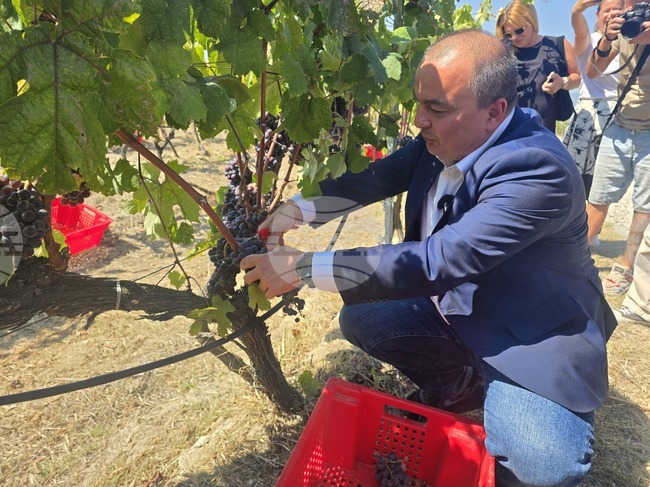 Possible Restructuring of Agricultural Administration Will Not Come at Expense of Specialized Units