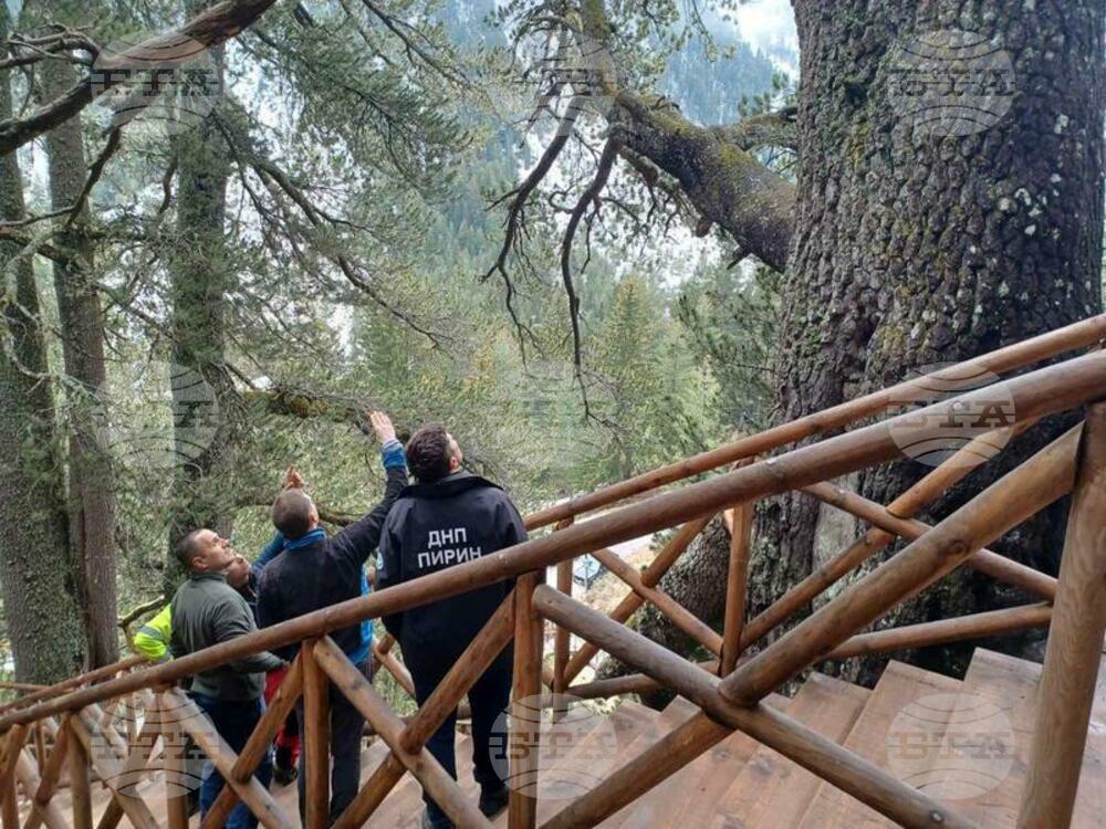 Проучват обезопасяване и опазване на Байкушевата мура