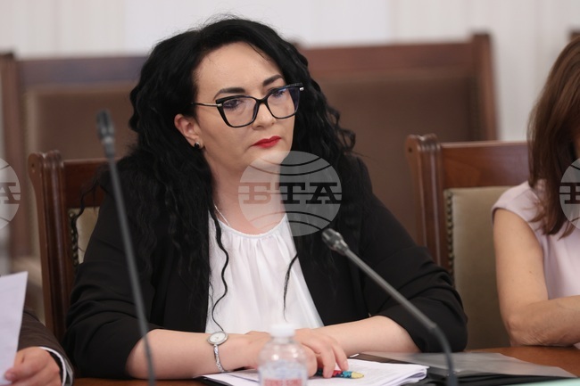 Комисията по политиките за българите извън страната изслуша правосъдното министерство за процедурите за придобиване на българско гражданство