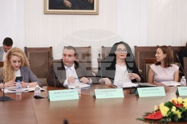 Народно събрание - Комисия по политиките за българите извън страната - заседание