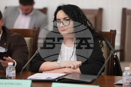 Народно събрание - Комисия по политиките за българите извън страната - заседание