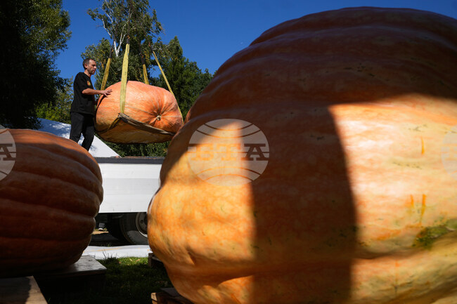 APTOPIX Russia Harvest Festival