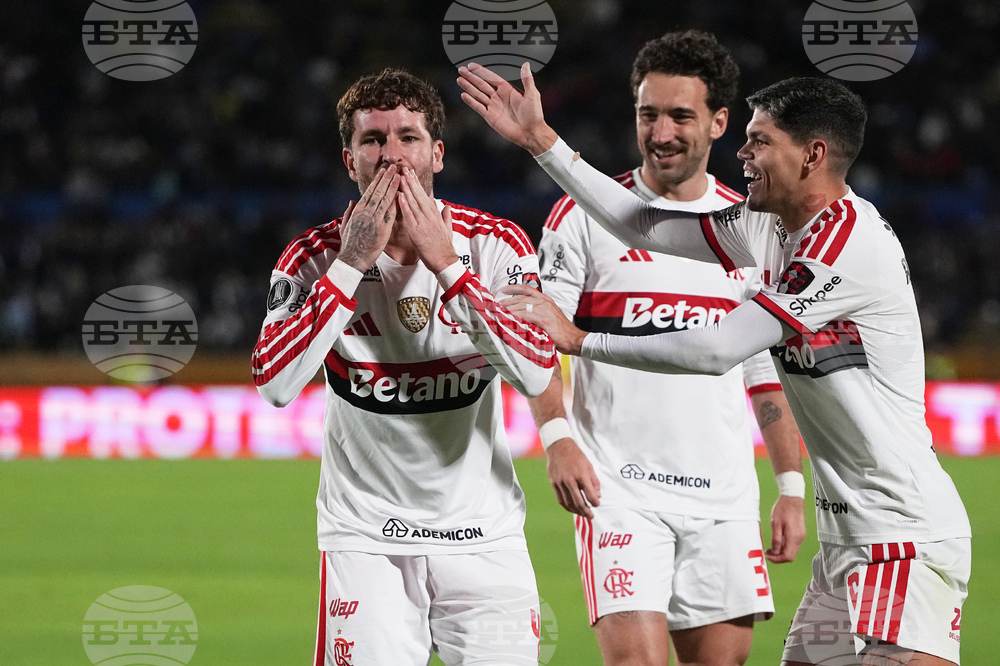 Ecuador Brazil Soccer Copa Libertadores Soccer