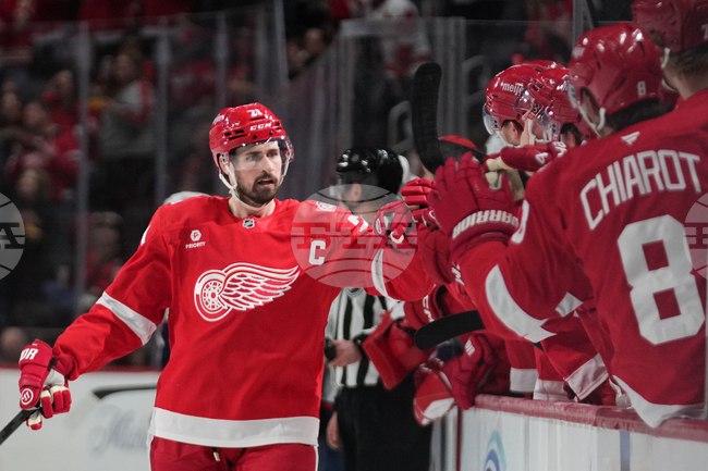 Red Wings Larkin Hockey