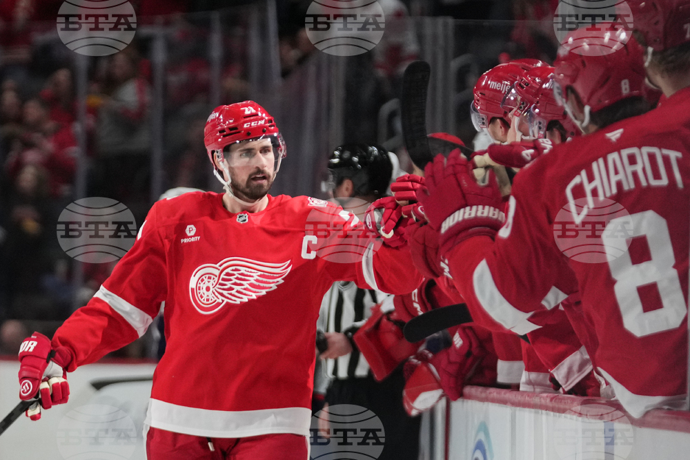 Red Wings Larkin Hockey