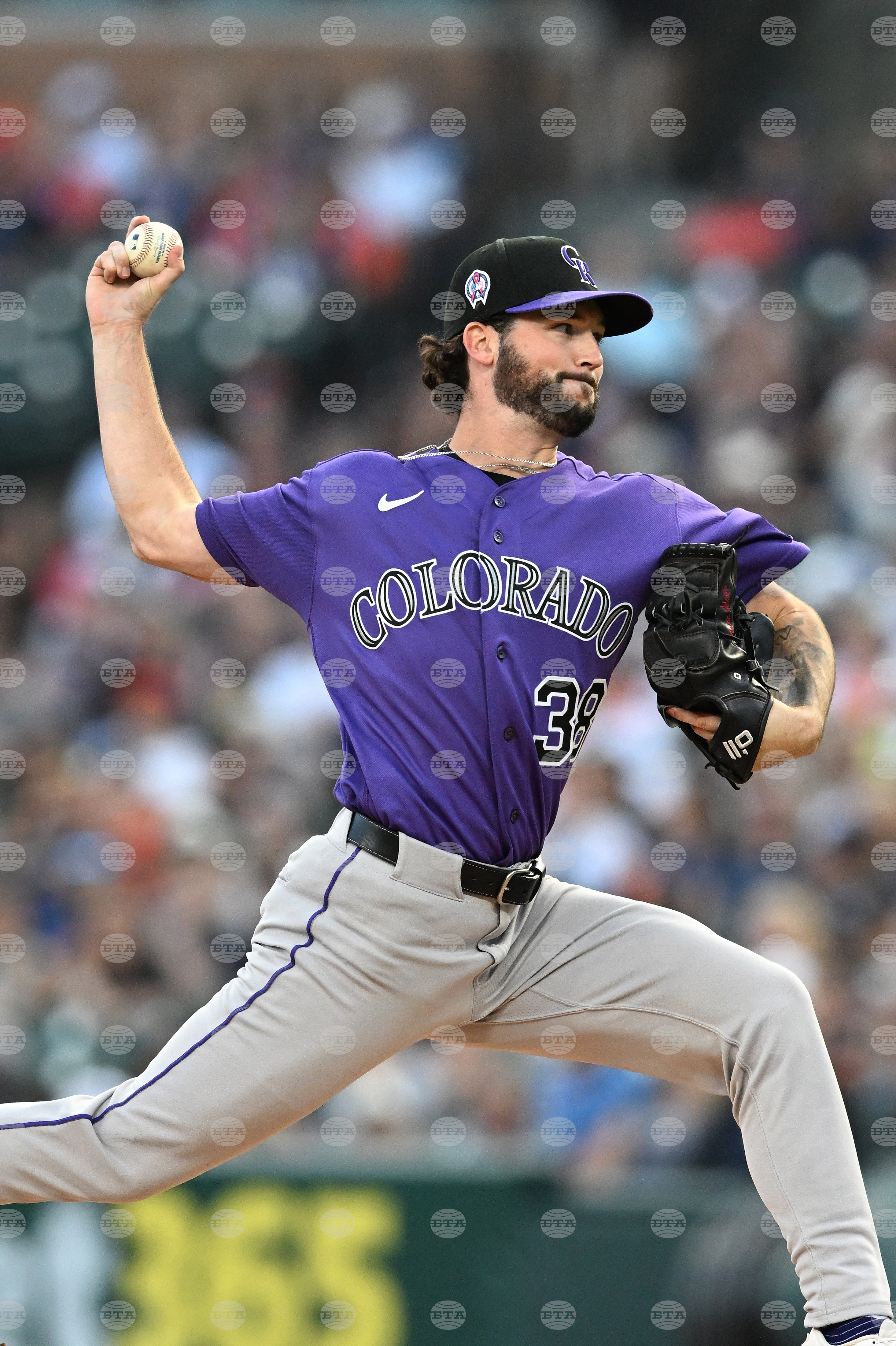 Rockies Tigers Baseball