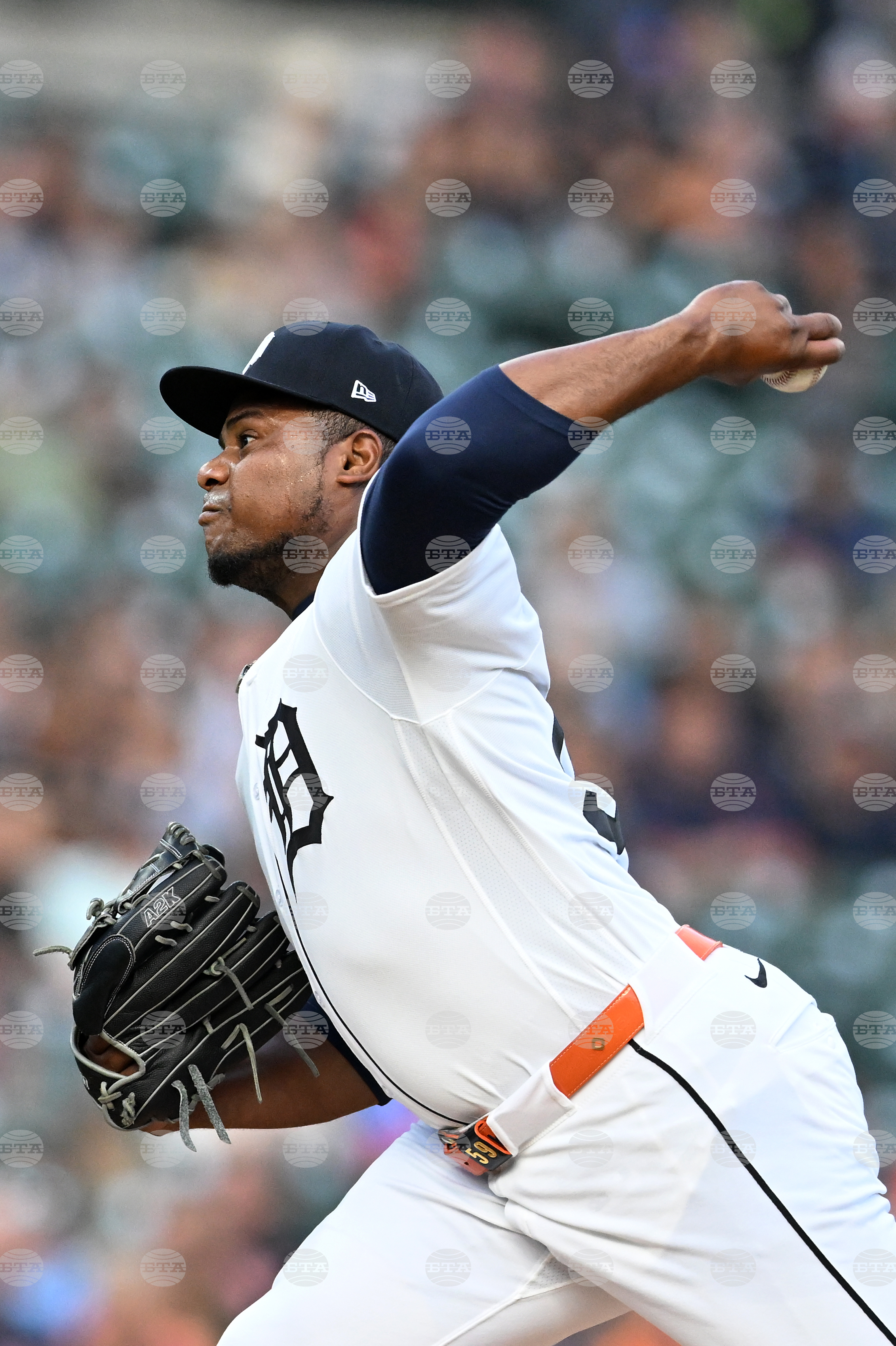 Rockies Tigers Baseball