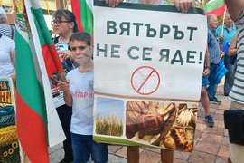 Добрич - протест - ВЕИ
