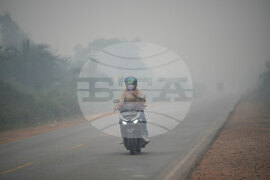 Indonesia Forest Fires