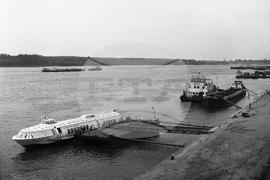 Дунав край Русе