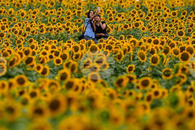 Kansas Daily Life