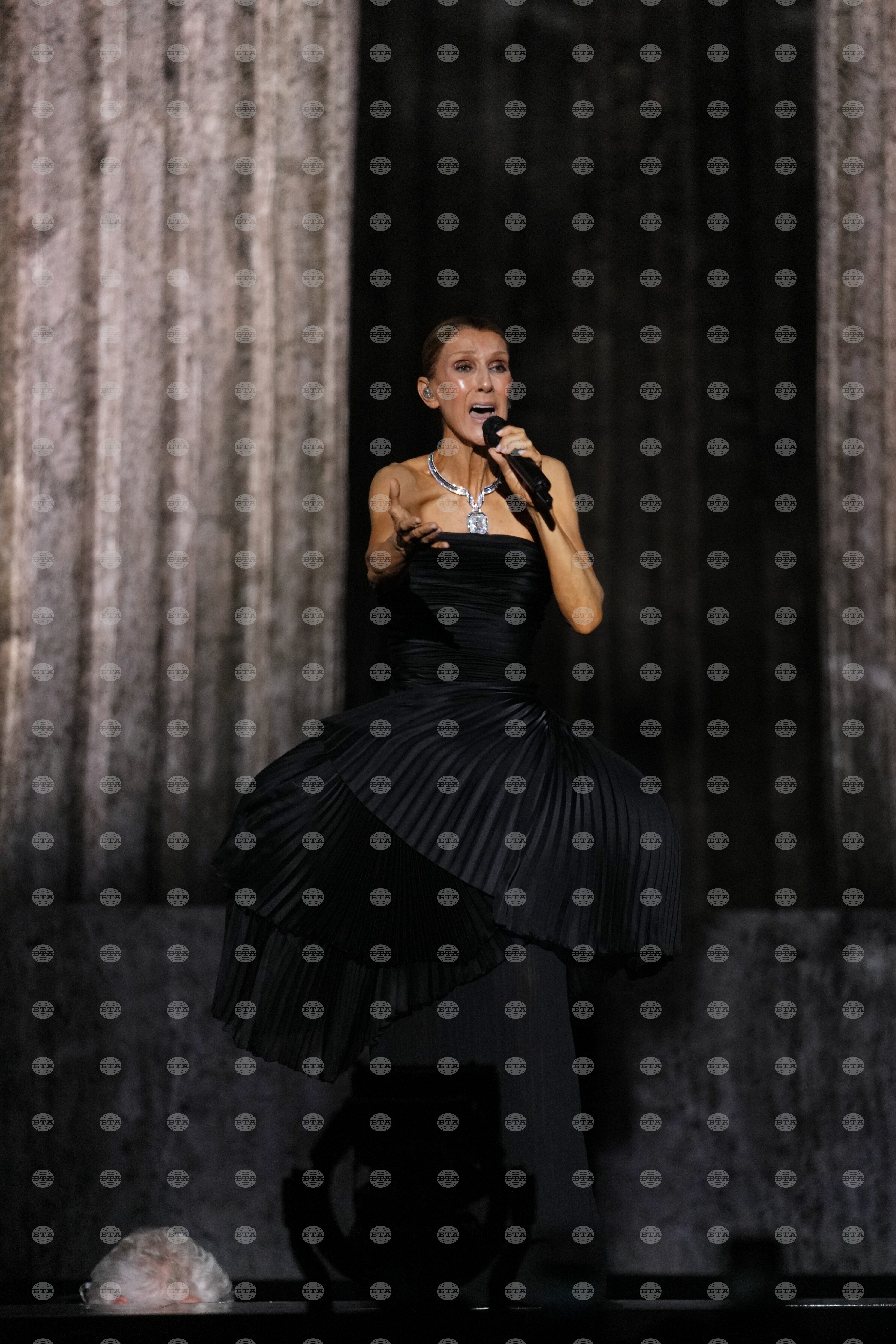 France Celine Dion