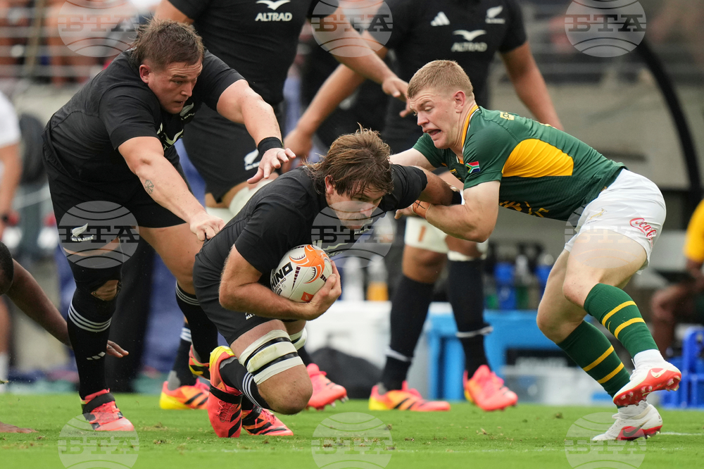 South Africa New Zealand Rugby