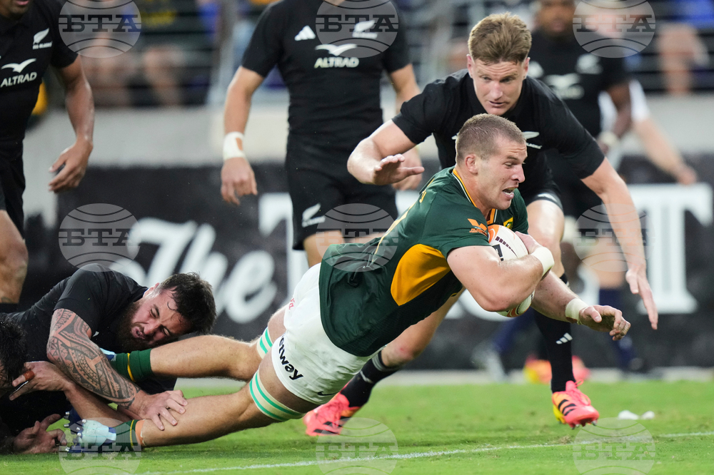 South Africa New Zealand Rugby