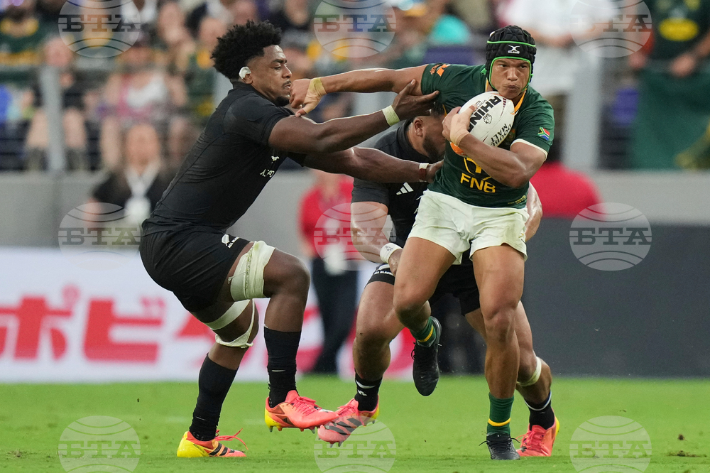 South Africa New Zealand Rugby