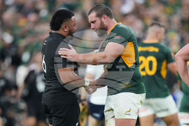 South Africa New Zealand Rugby