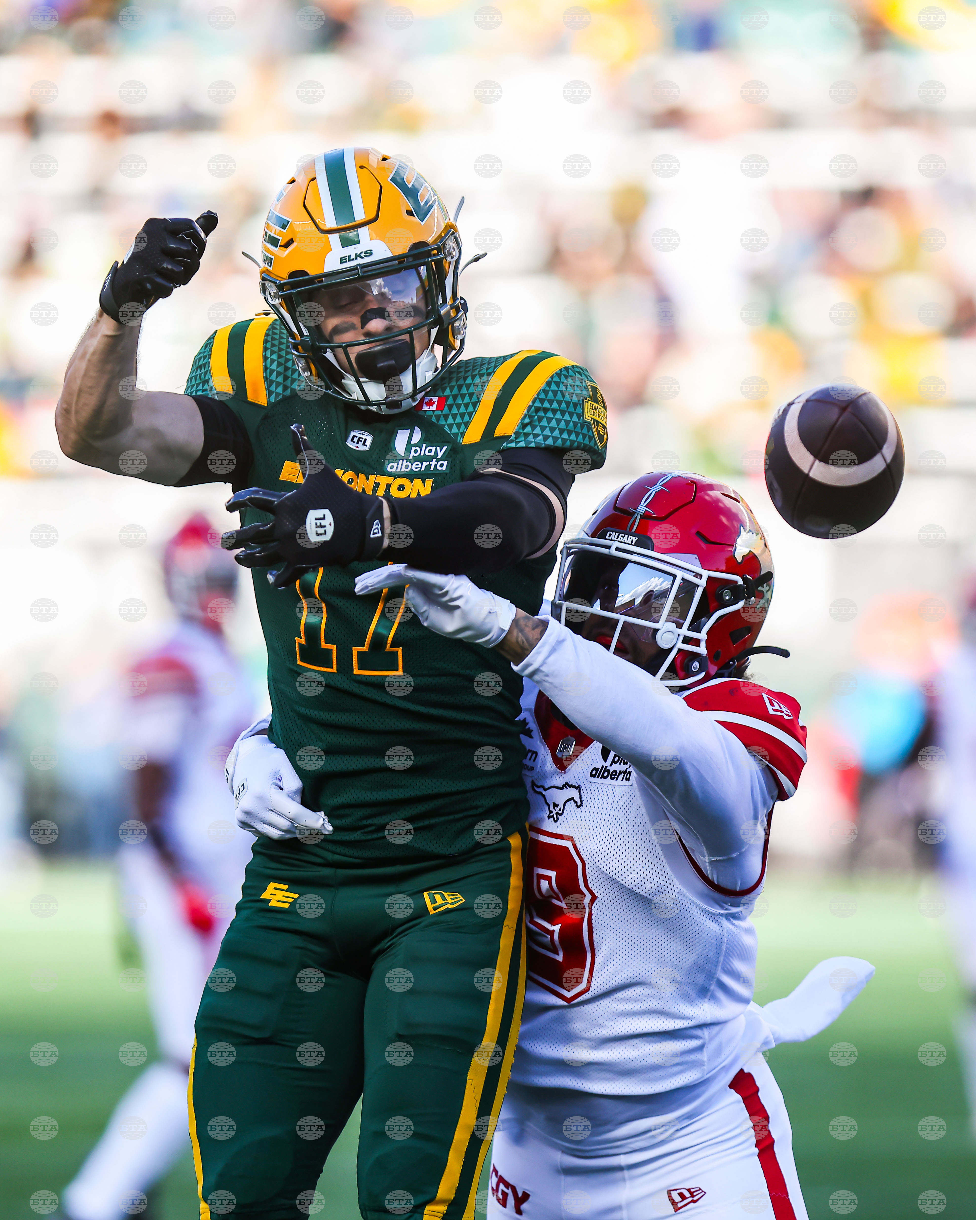 CFL Stampeders Elks Football