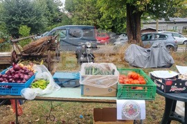 Село Пробуда - празник на чесъна - традиции