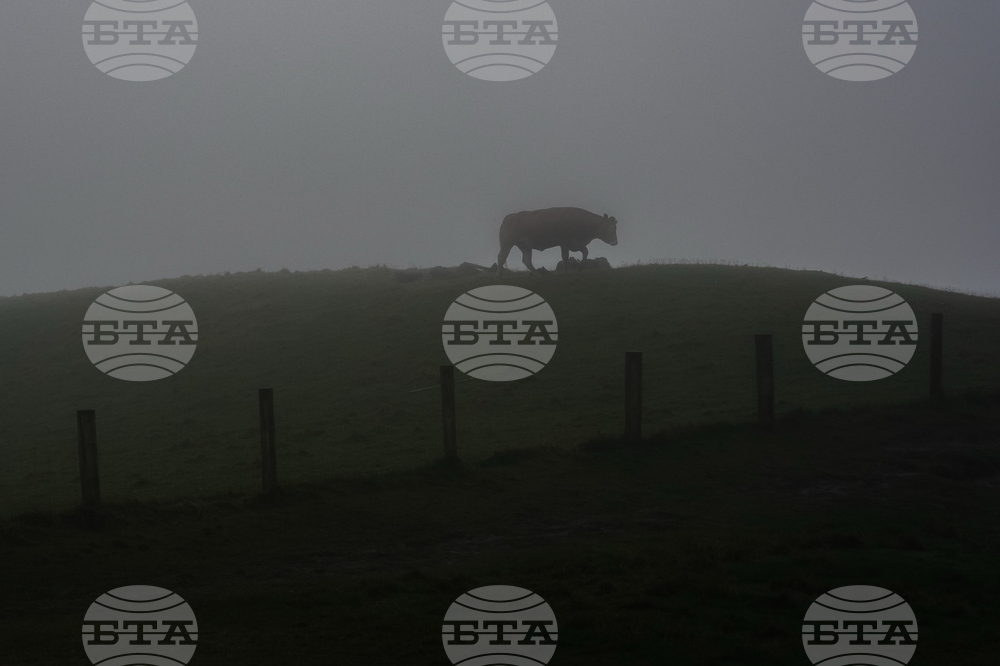 Ireland Daily Life