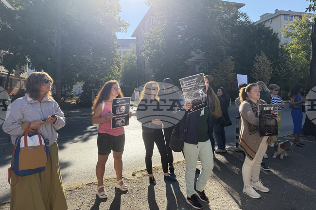 В София се провежда протест във връзка с делото срещу Габриела и Красимир от Перник, подсъдими за насилие над животни