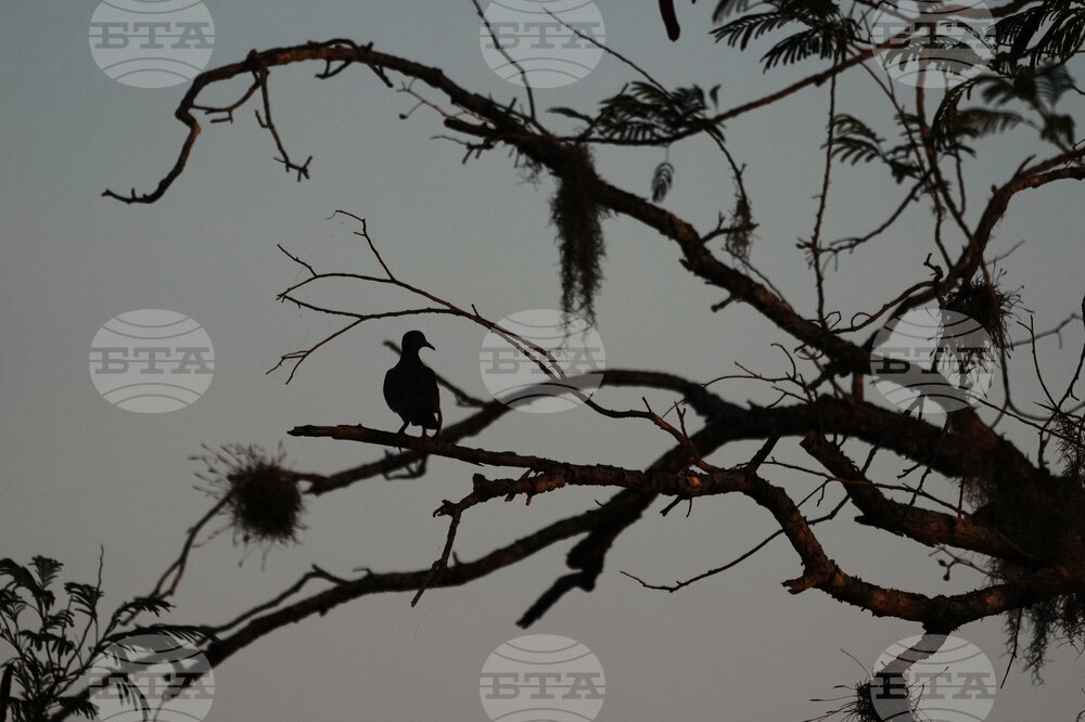Border Wall Wildlife Photo Essay