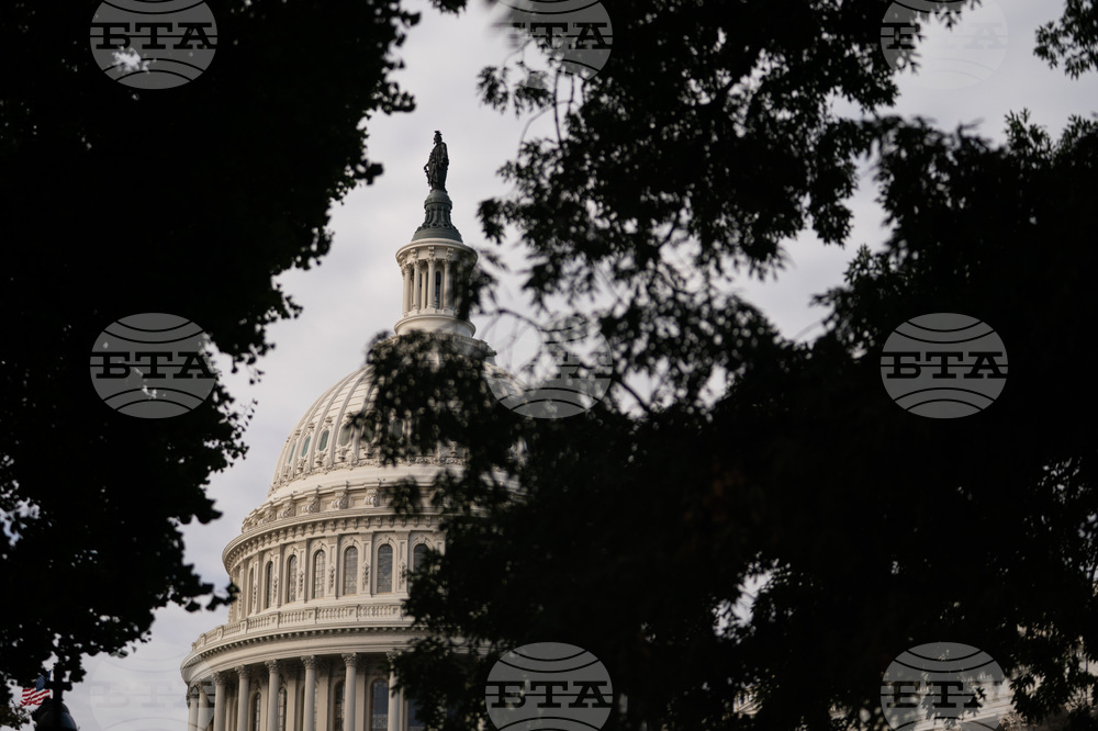 Congress
