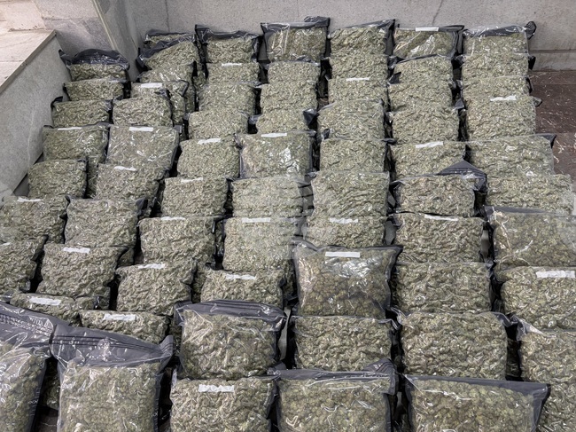 Police Seize Over 70 Kg of Marijuana, 368 Cannabis Plants in Stara Zagora