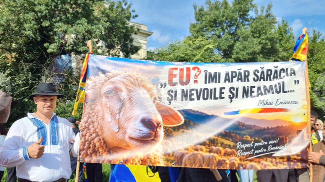 Протестиращите румънски овцевъди не изключват възможността да пренесат протеста в Брюксел, ако властите не отговорят на исканията им