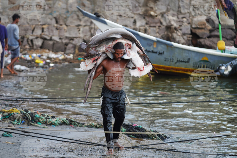 Mideast Wars Yemen
