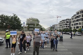 Протест - кръгово кръстовище