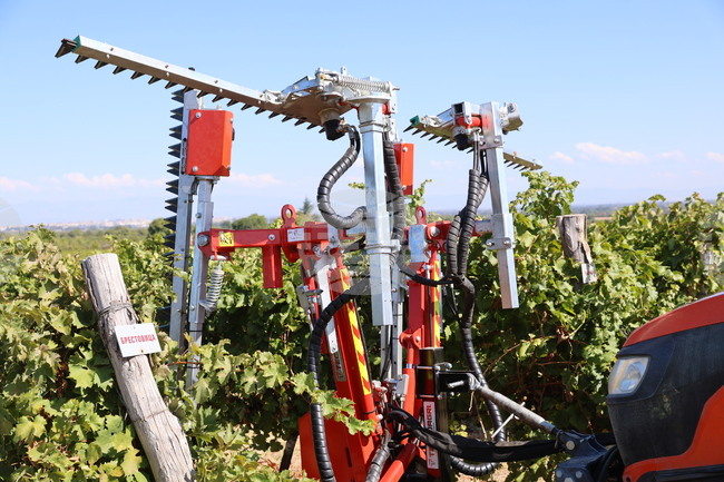 Plovdiv Agricultural University Showcases Vineyard Innovations