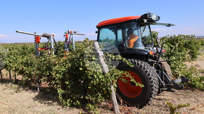 European Commission Approves EUR 170 Mln in Bulgarian State Aid for Farmers Hit by Higher Fuel and Fertiliser Prices