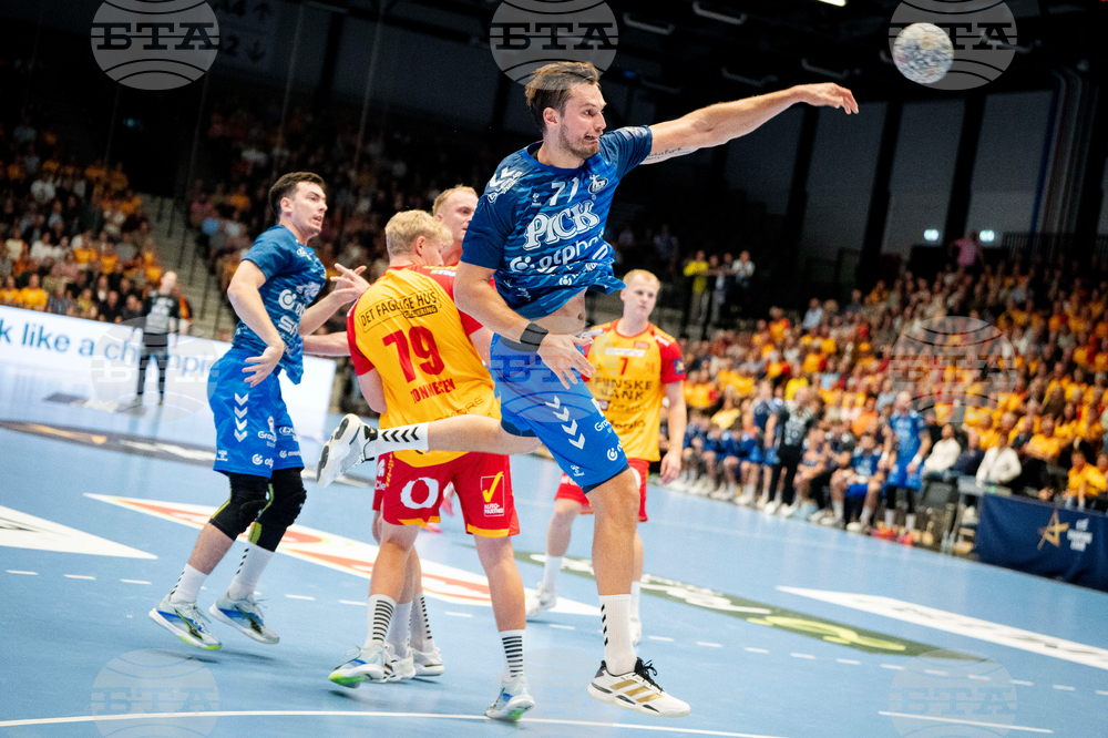 Denmark Handball