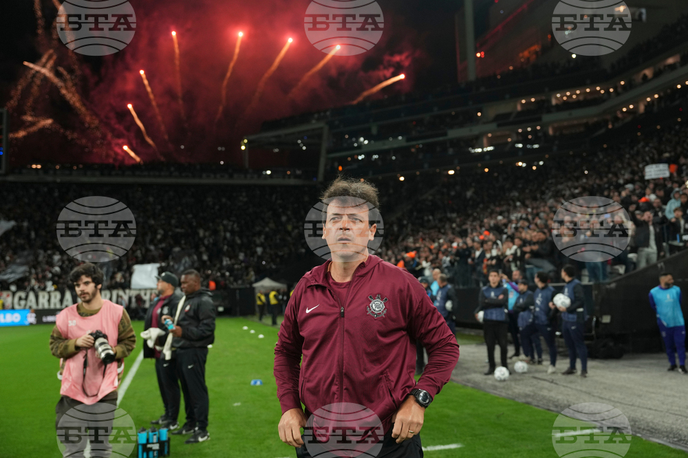 Brazil Argentina Copa Libertadores Soccer