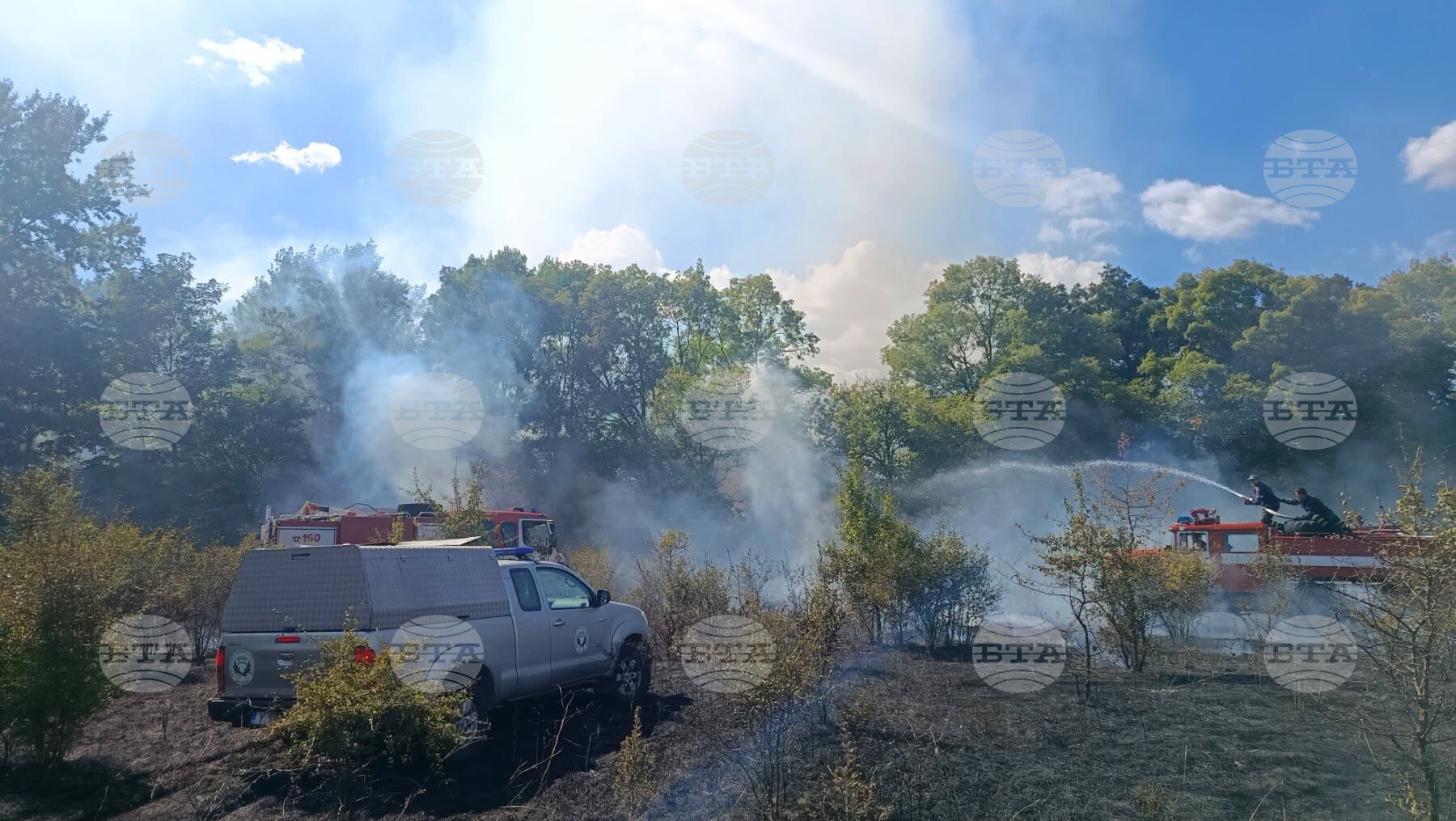 Пет противопожарни автомобила гасят огъня, пламнал край тополовградското село Княжево, съобщиха от Общината