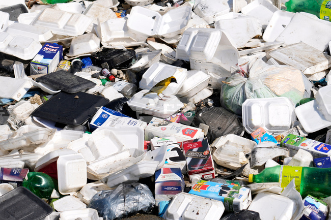 South Africa Urban Waste