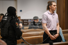 Hungary Germany Trial