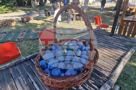 Село Орешак - Български фестивал на сливата - откриване